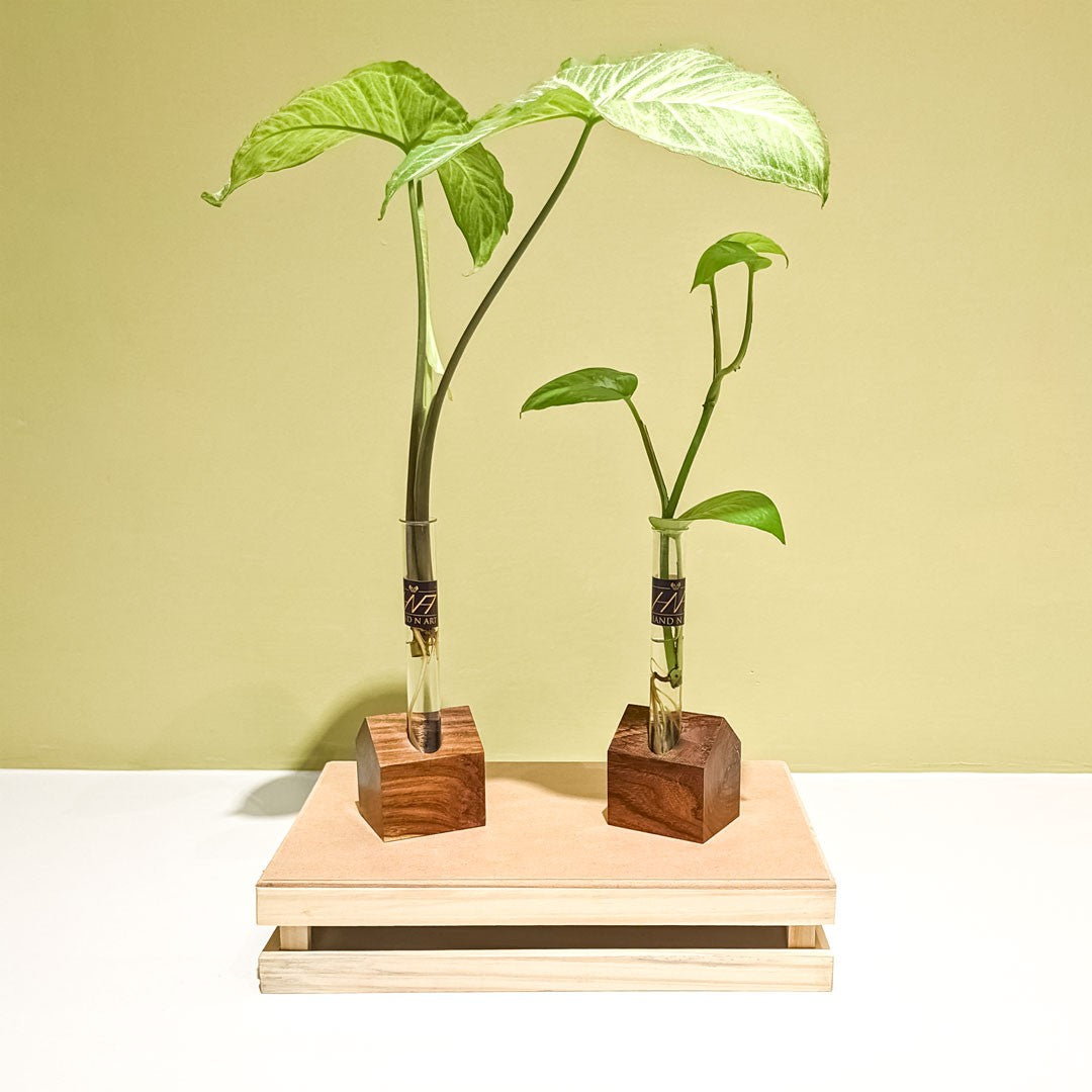 Countdown timer banner image