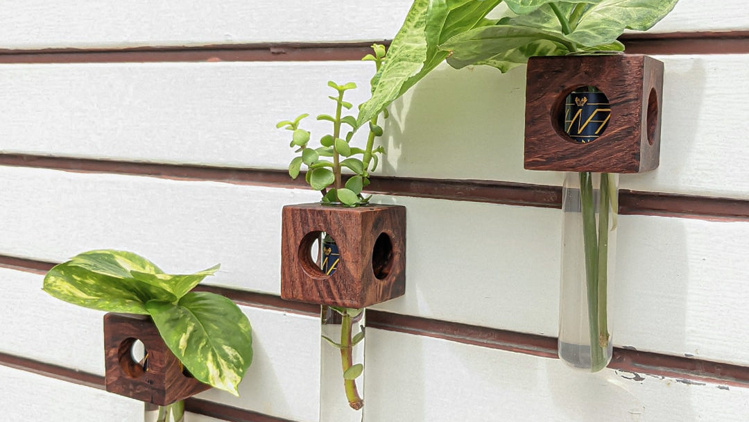 Wooden Magnetic Planter Propagation | Test-tube planter holder - Indian Rosewood,