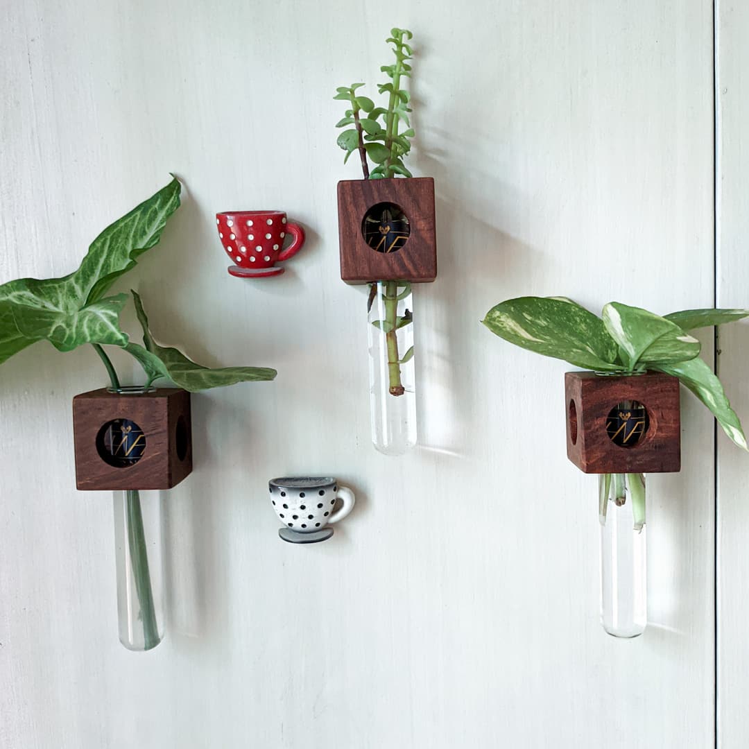 Wooden Magnetic Planter Propagation | Test-tube planter holder - Indian Rosewood,