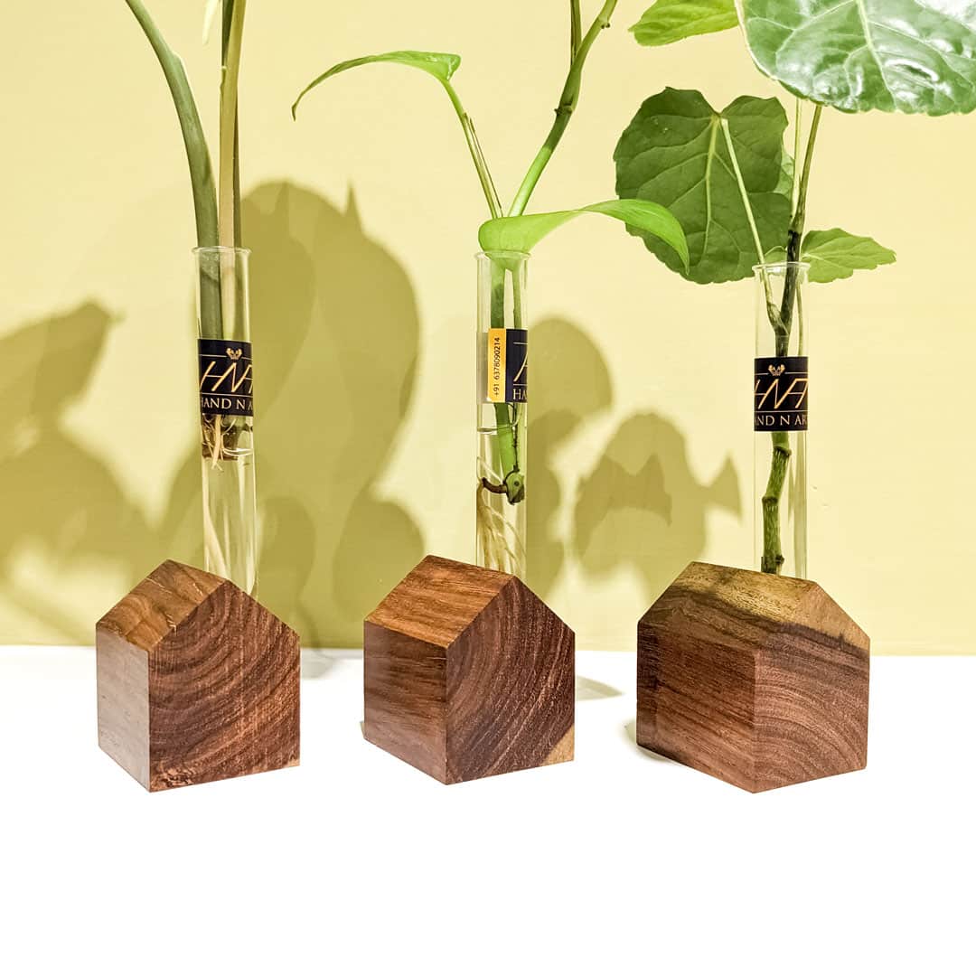Hut Test Tube Planter Holder | Test Tube Propagation - Indian Rosewood - Indian Rosewood,