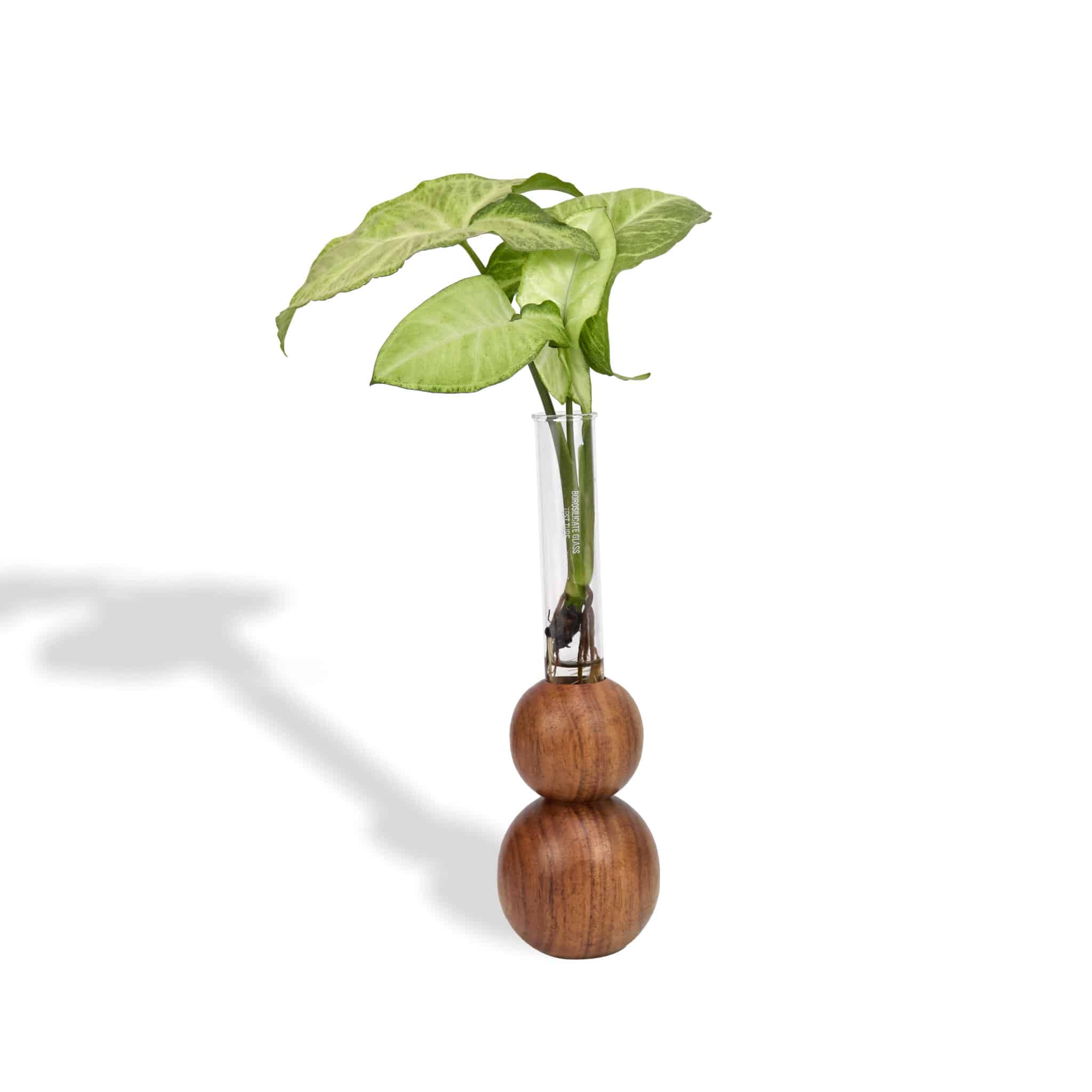 Wooden Spherical Planter Propagation | Test-tube planter holder - Indian Rosewood