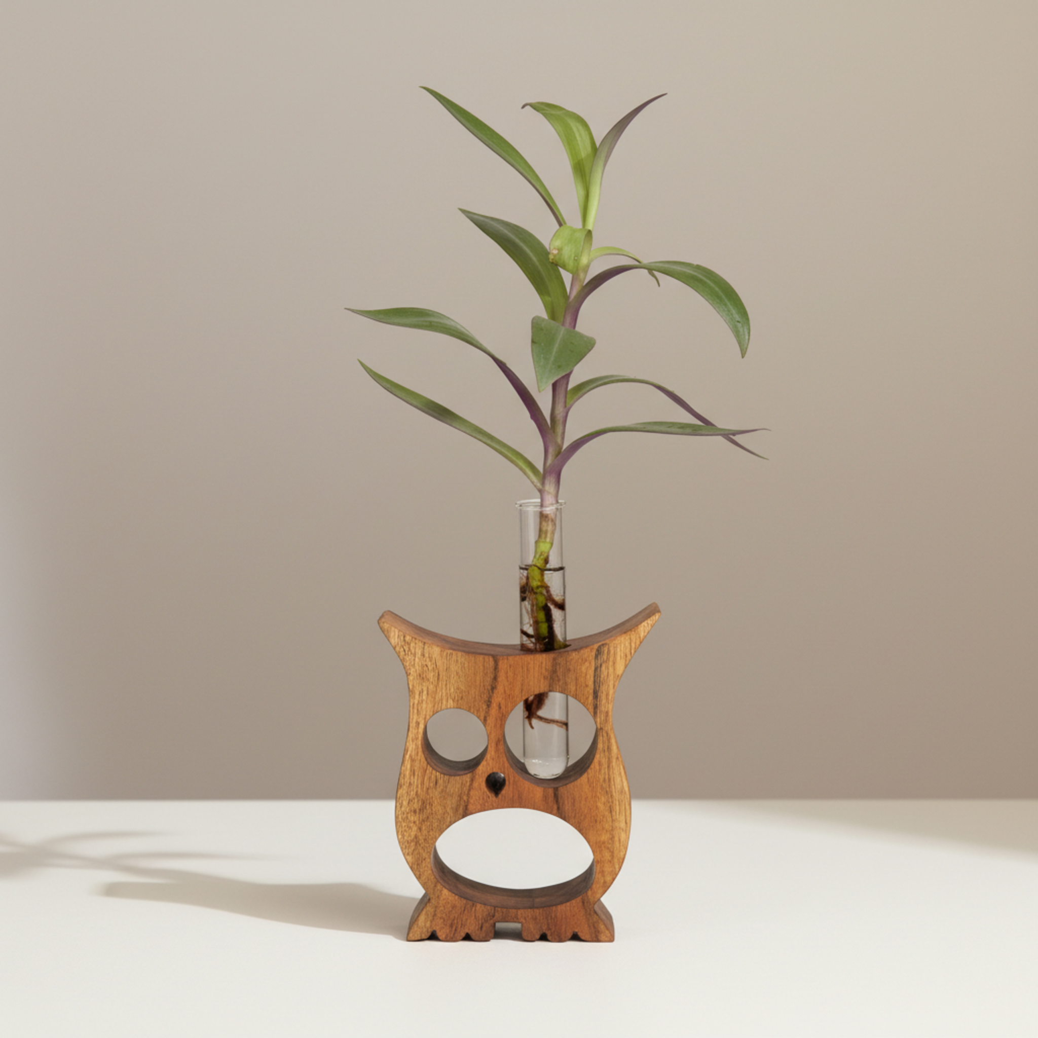 Owl Propagation Planter, Acacia Wooden Hydroponic Tabletop Decor