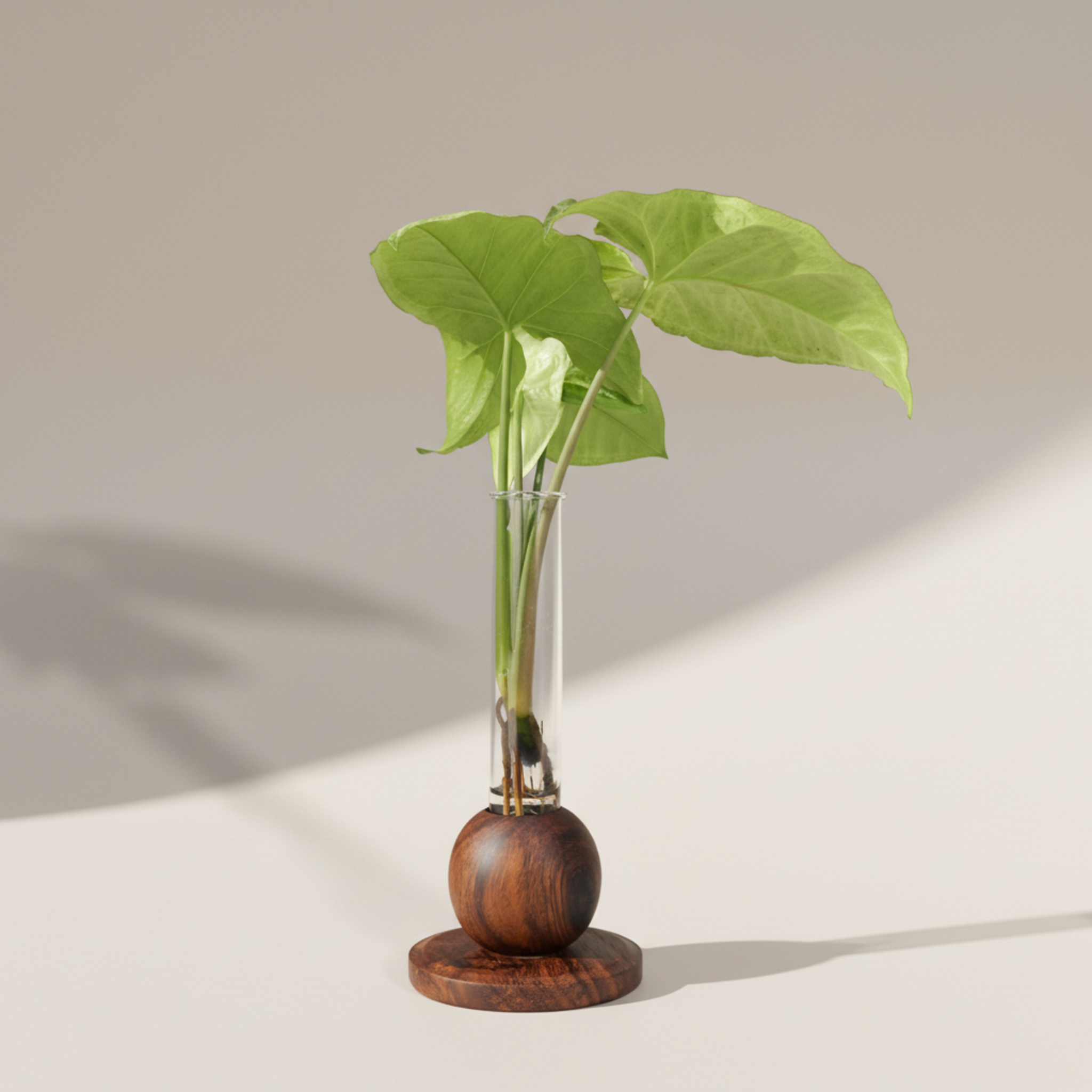 Ball Planter, Acacia Wooden Hydroponic Tabletop Decor