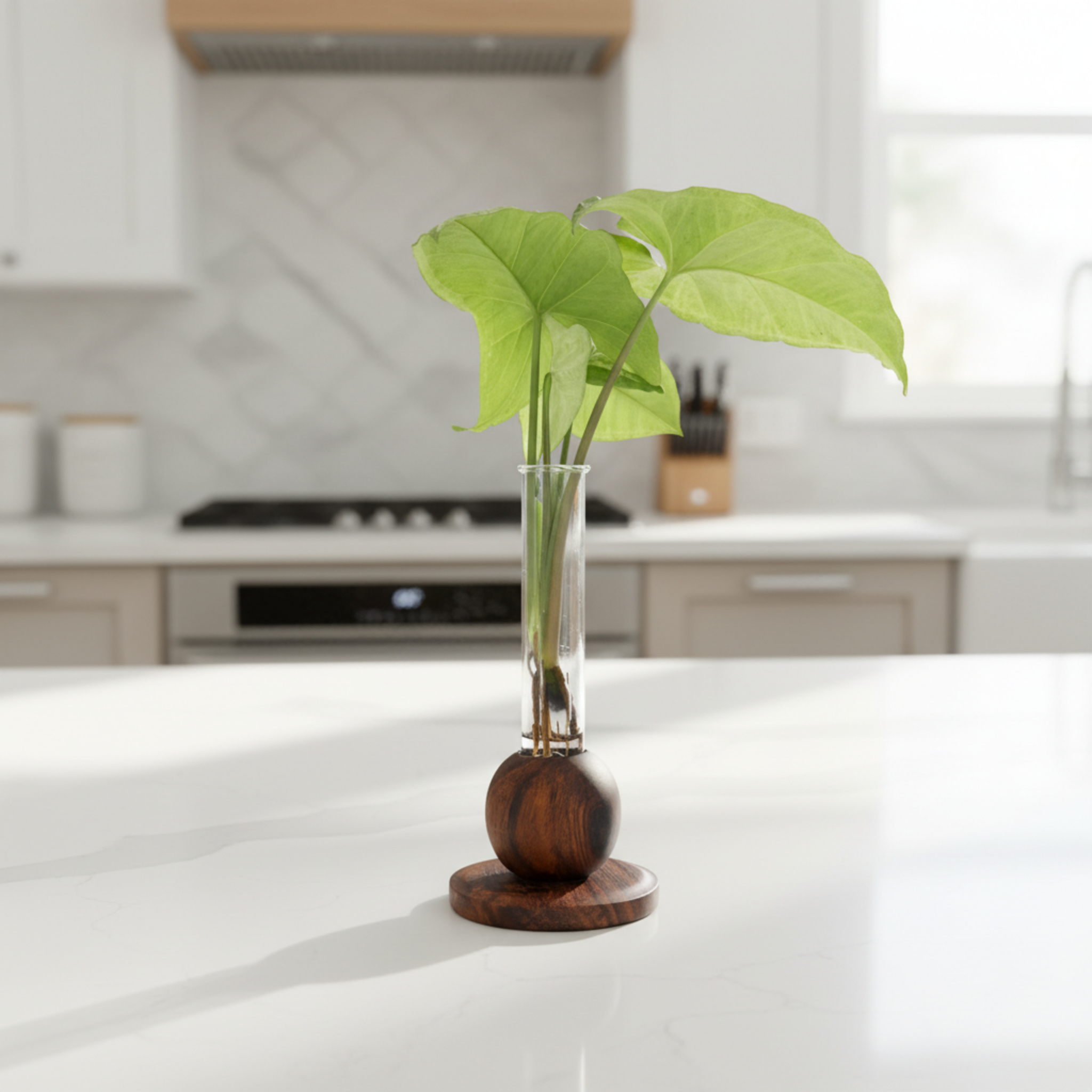 Ball Planter, Acacia Wooden Hydroponic Tabletop Decor